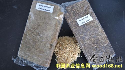 �����ٻ��壺���������h�����־�