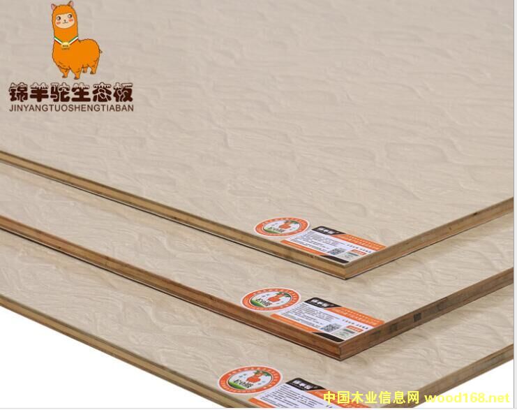 ���w�P��