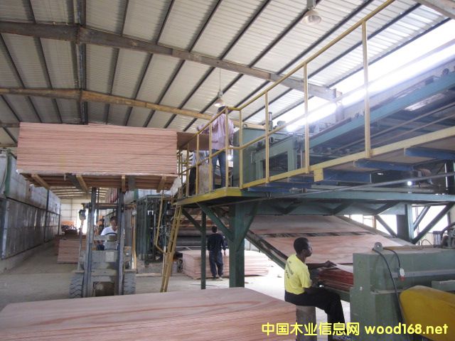 [��] �W�����ΰ�