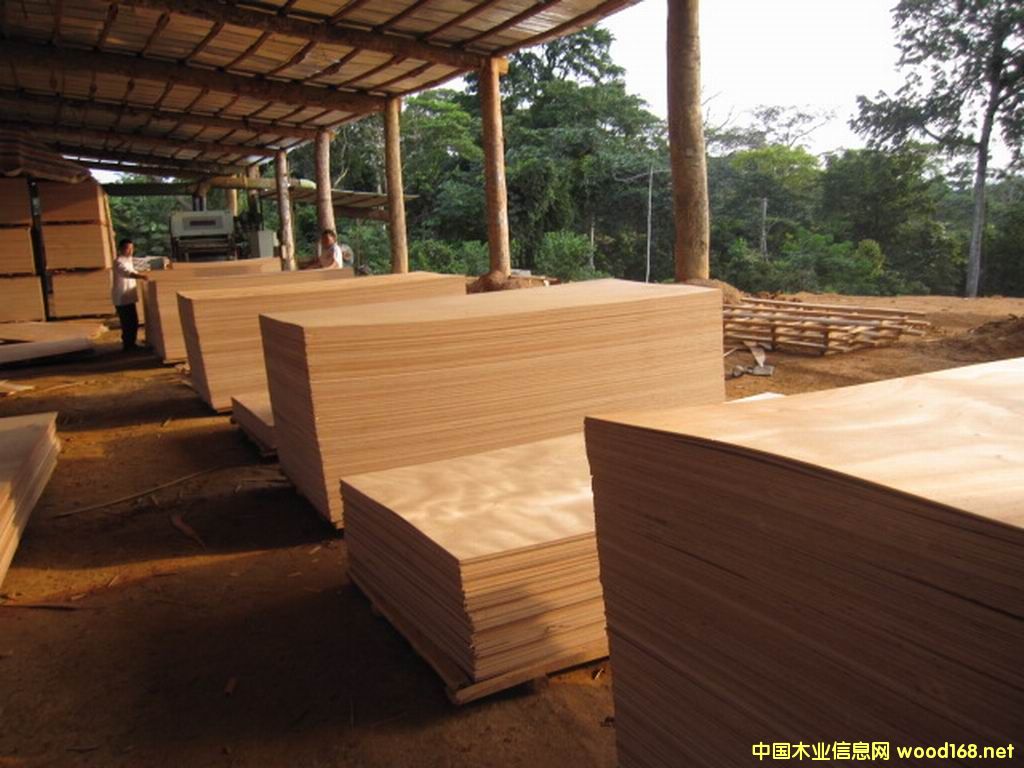 [��] �W�����z�ϰ�