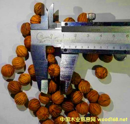 �c���鿴�������^����-�ִ�ԭ��-�˵����ϷŴ�DƬ