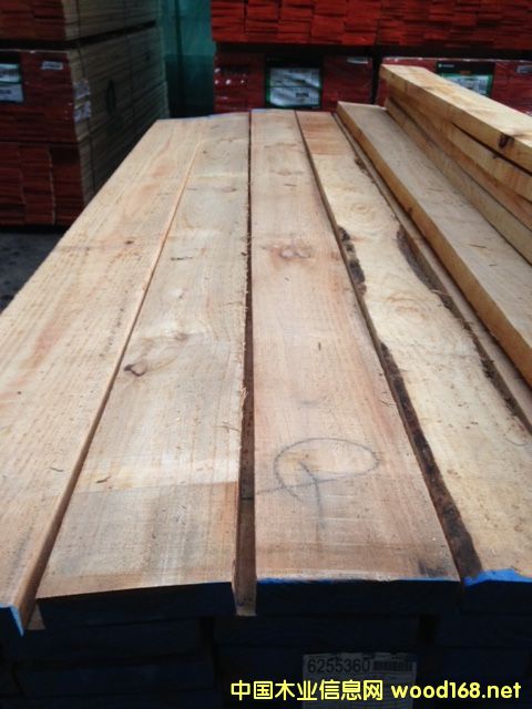 ������SHOP3��ë��37/38MM-3