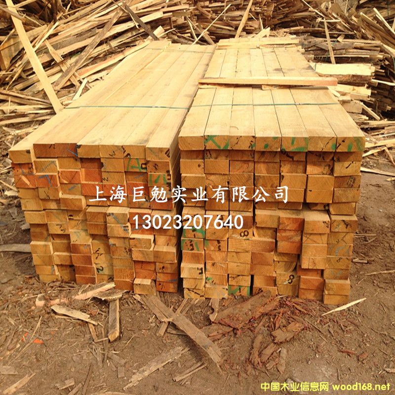 ���~��ľ��