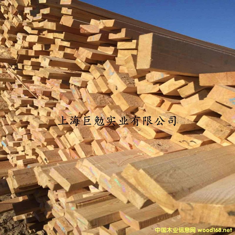 ���������l