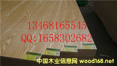 21���ľо�Ҿ߰�E0