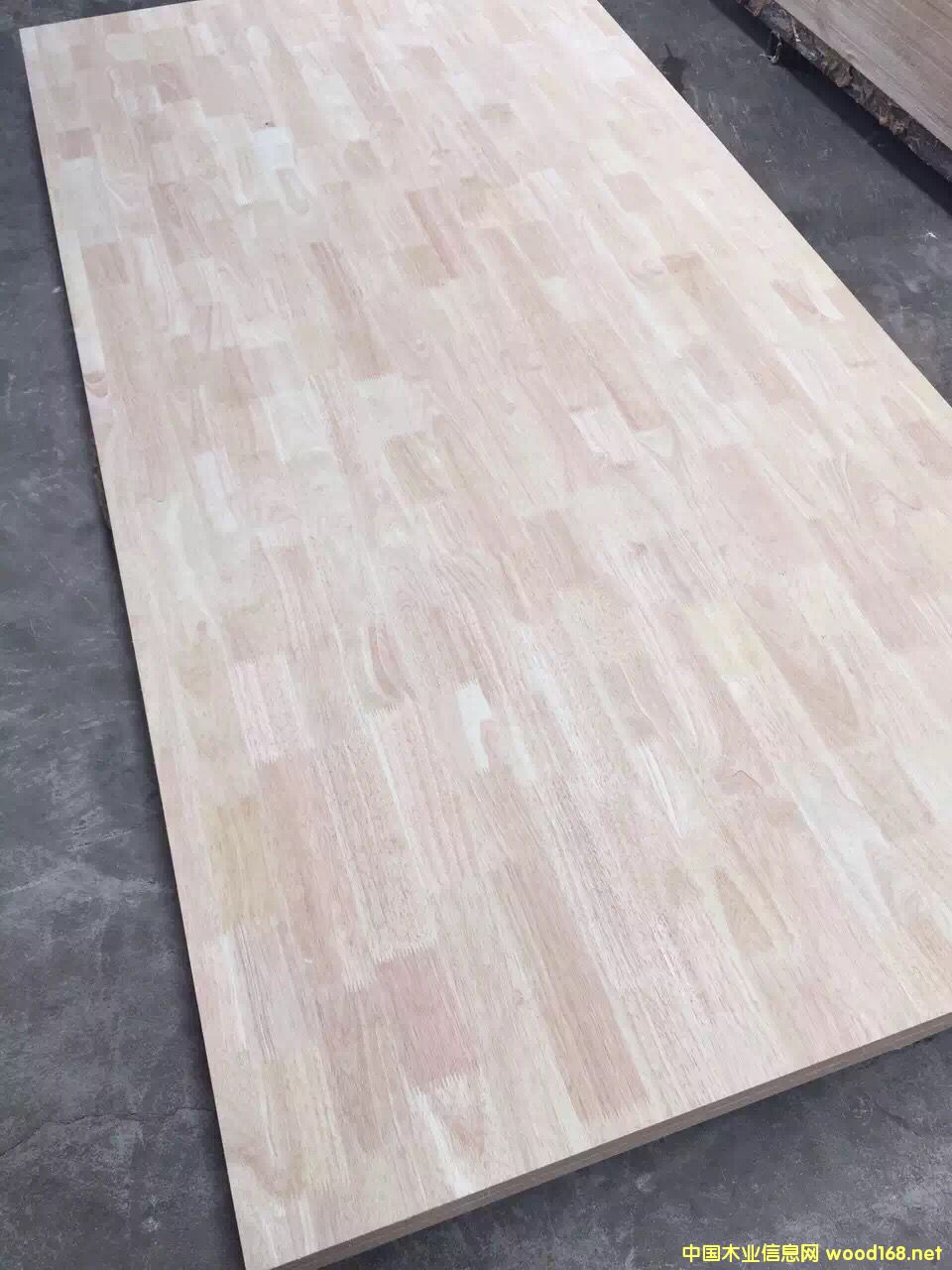 16����ďS�� ��ľ