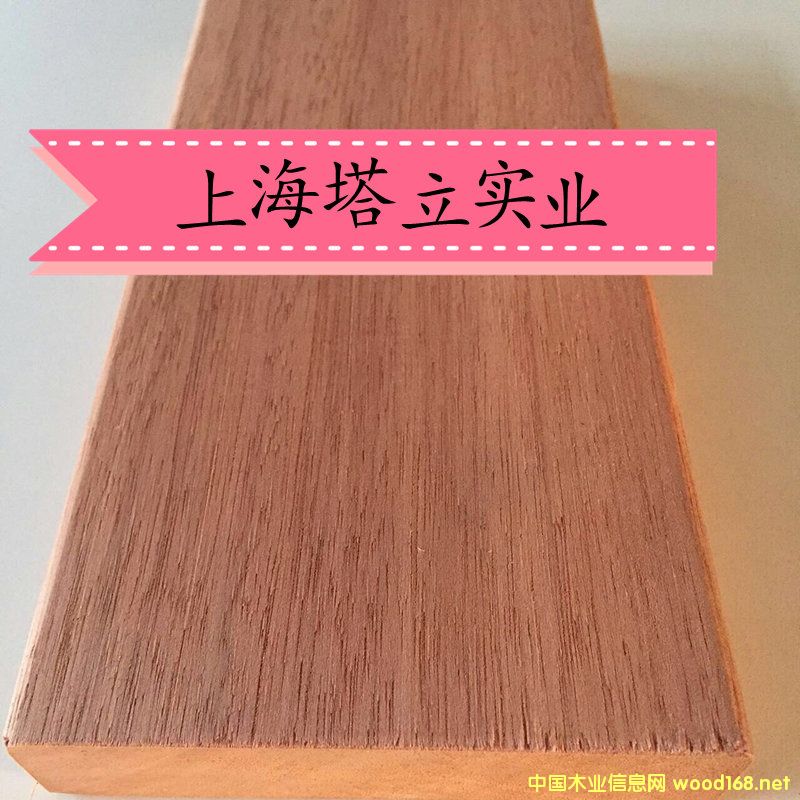 �t�������ľ�Ĉ@�־��^�����ذ��y����ľ�ڂ��ҵ�Ԕ����B