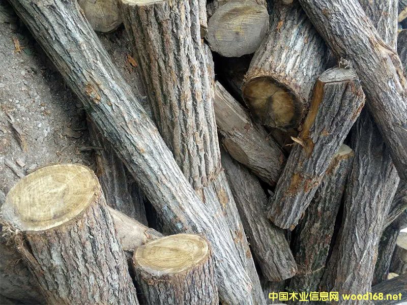 ԭľ����ľ����ľ������ľ��