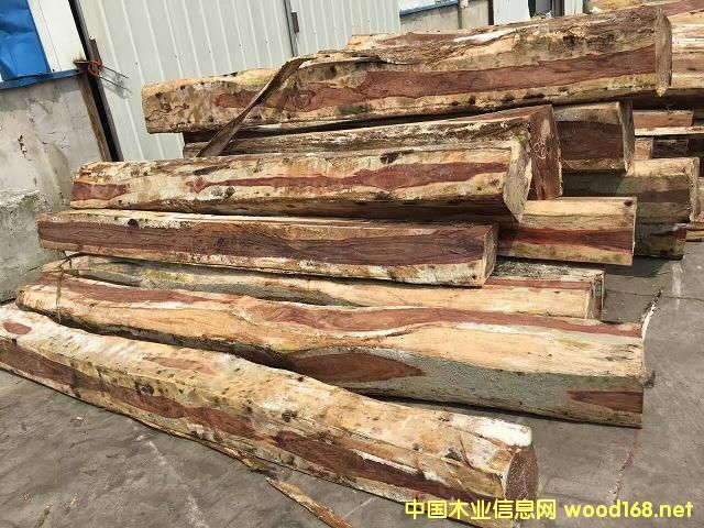 ī����韱ⶹ