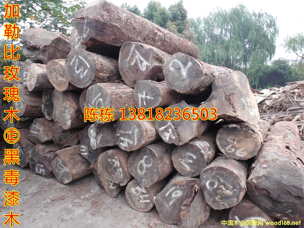 ������֦���ձ�õ��ľ��z�S̴�ڶ���ľ�����޴��~�S����ڻ���ľ