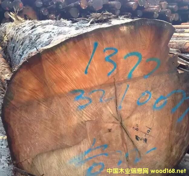 �M(j��n)�ڼ��ô��Fɼ������ԭľ