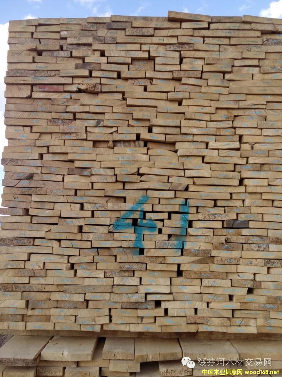 �c���鿴���_˹��ľ˹�˘�ľ����䏲ĵ�Ԕ���Y��