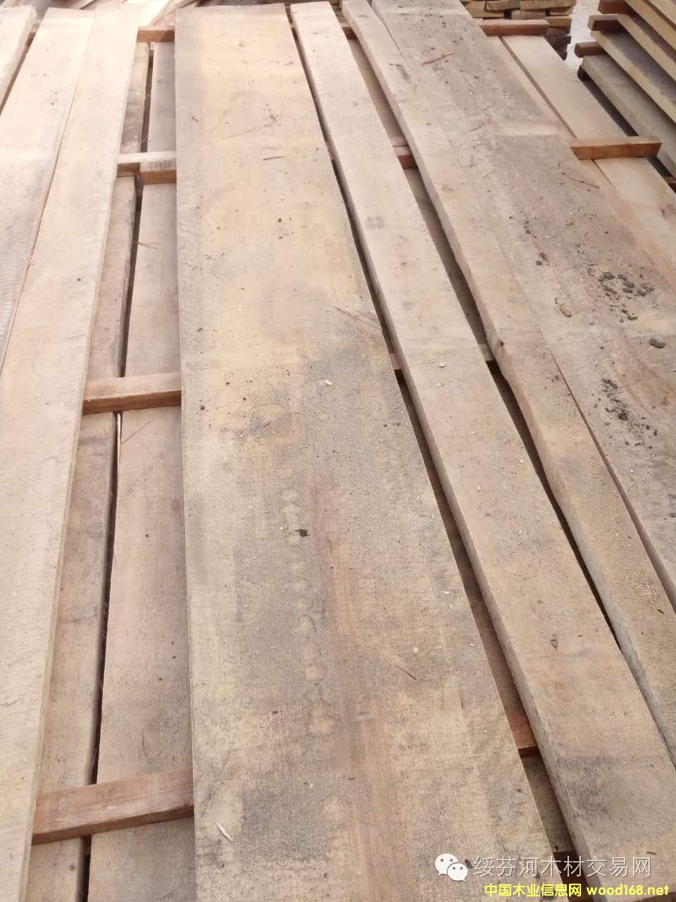 �c���鿴���_˹��ľ˹�˘�ľ����䏲ĵ�Ԕ���Y��