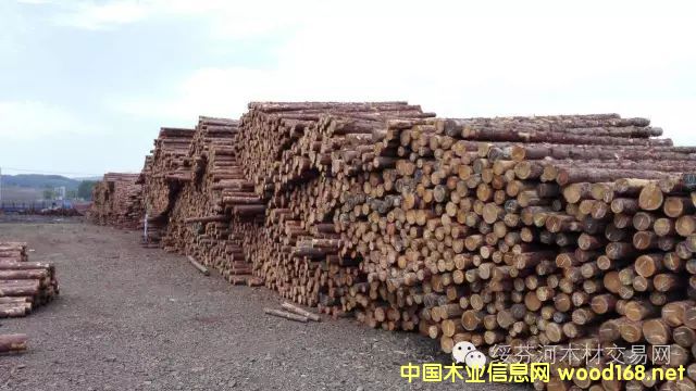 ���~�ɿ�ľ