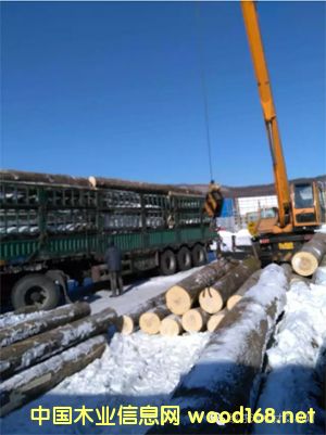 �c(di��n)���鿴��ľԭľ��Ԕ��(x��)�Y��