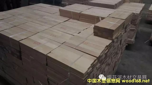 ��ľ�o���ٹ�Ķ���