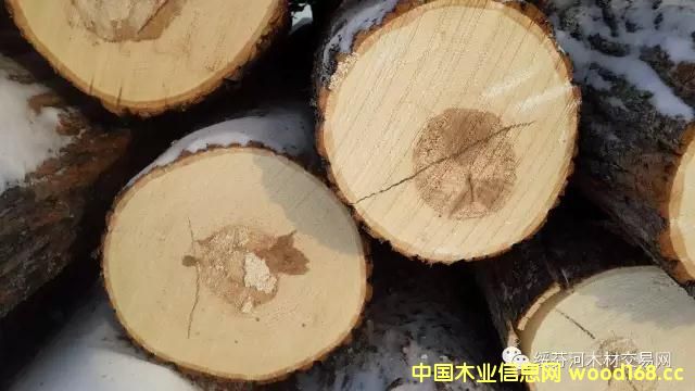 �c(di��n)���鿴�羳��ُ���W���ľ�U�P���Ԕ��(x��)�Y��