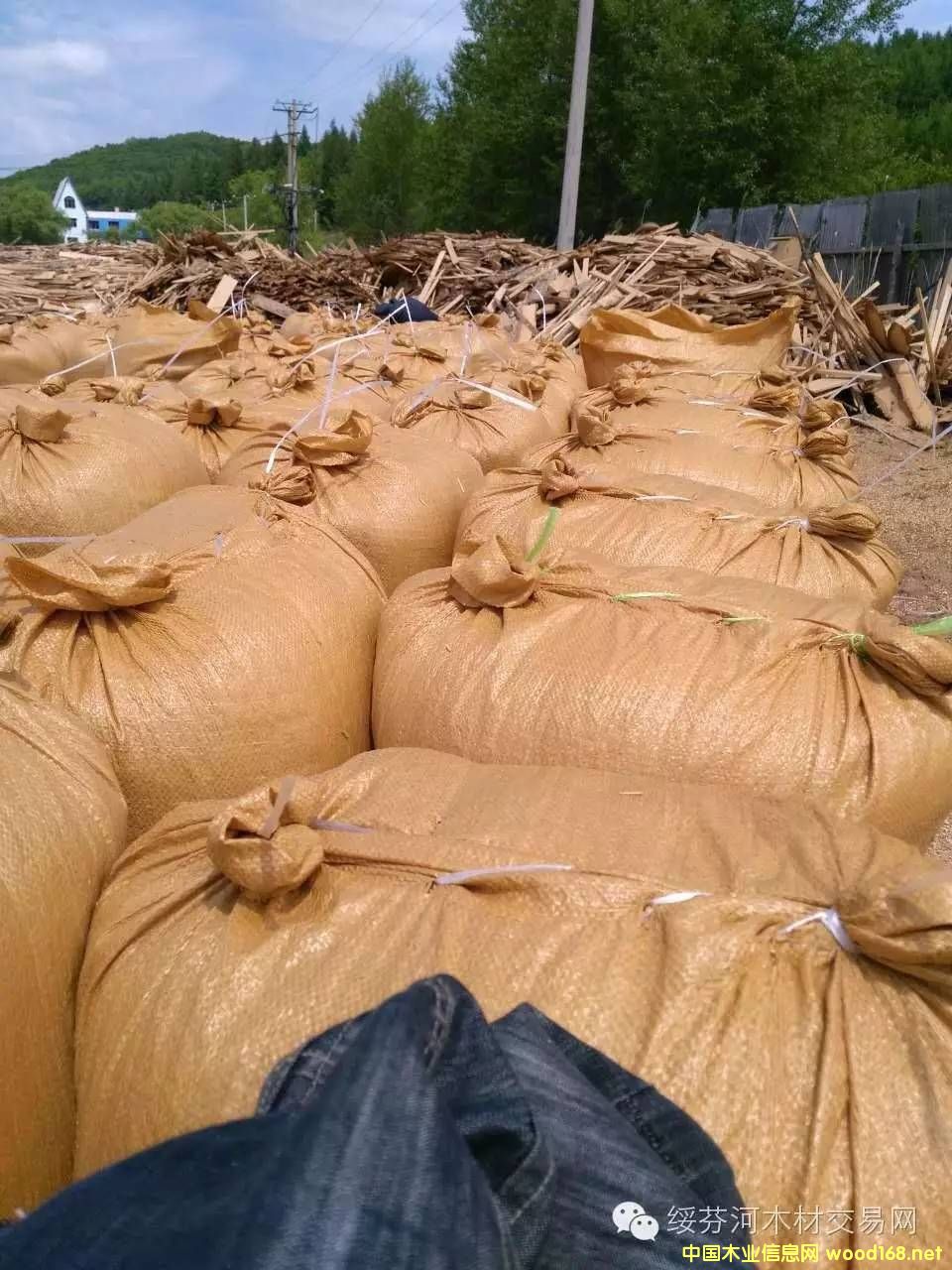 ��ľ����ľʳ�þ��ĩ�w��