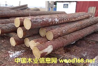 �c(di��n)���鿴���~��ԭľ��Ԕ��(x��)�Y��