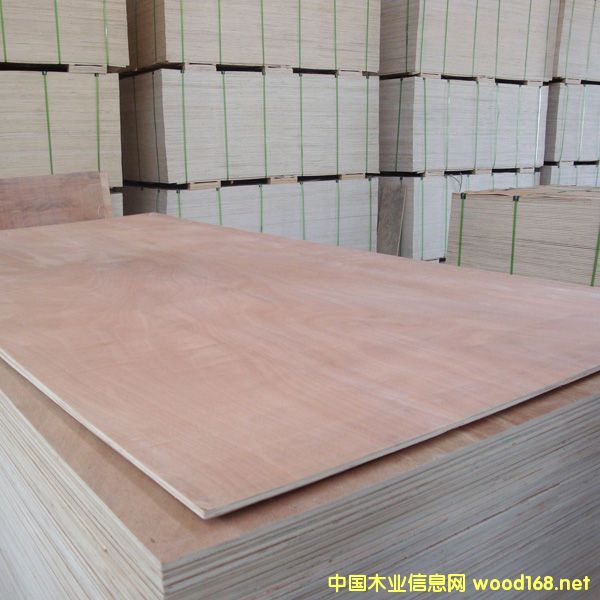 ���K���w�S��ֱ�N�Ҹ����z�ϰ塢�h�����Ӱ�