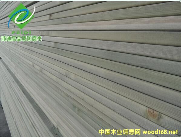 �c���鿴���mľ����ľ�Ŵ�DƬ