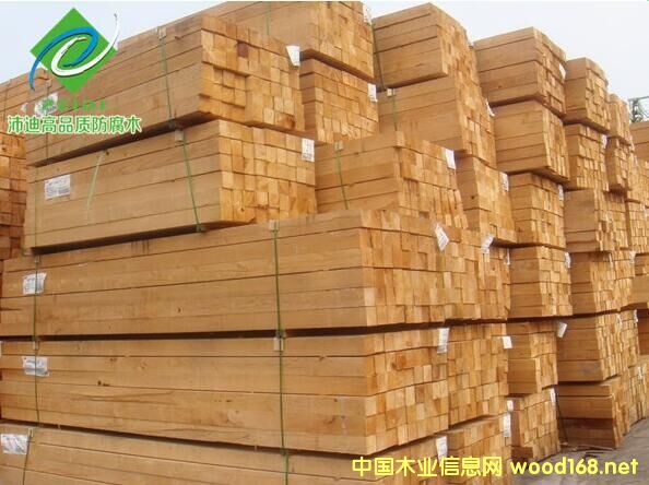 �c���鿴ݗ���ɷ���ľ�Ŵ�DƬ