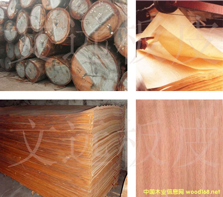 �W���� �һ�о���D��Ƥ��Ԕ����B