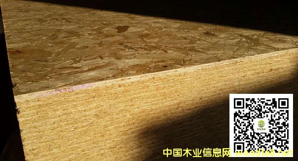 �c���鿴ɭ��OSB�Ŵ�DƬ