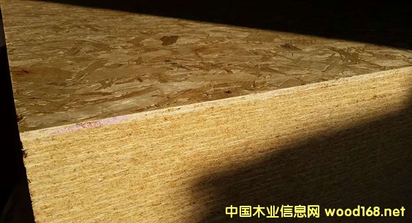 �c���鿴ɭ��OSB�Ŵ�DƬ