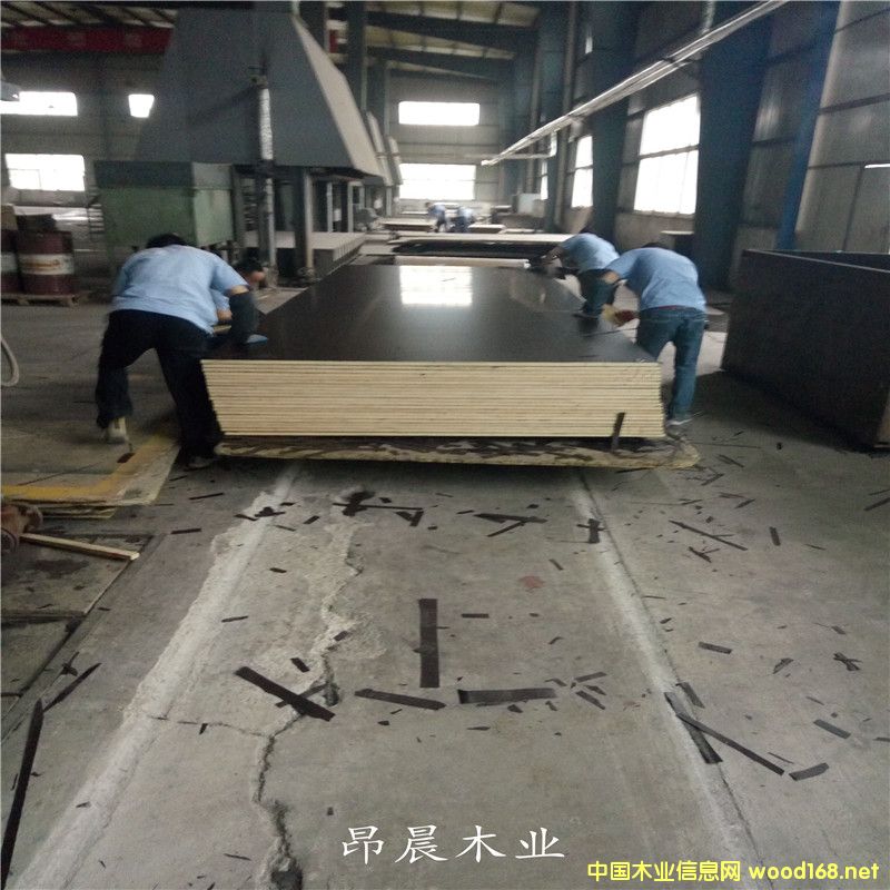 ��ľ��Ĥ����ģ��S��