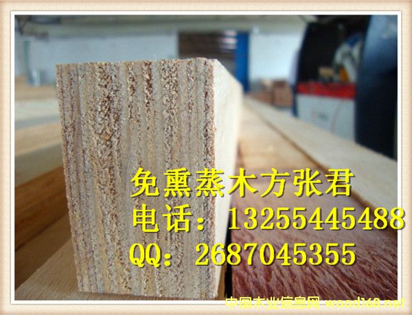 �c���鿴��Ѭ��ľ���Ŵ�DƬ