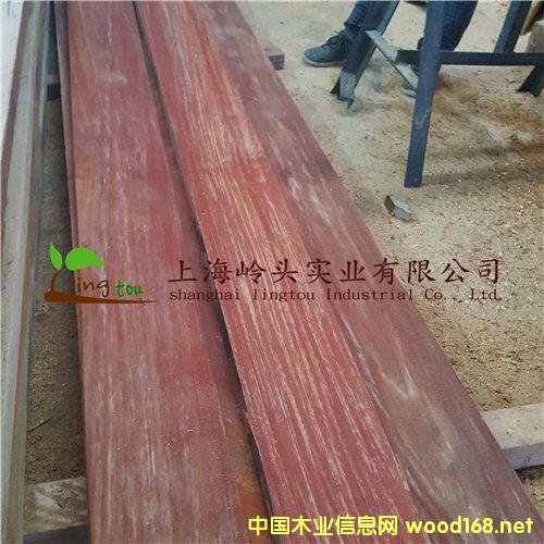 �c���鿴�t�̈́�ľ��Ԕ���Y��