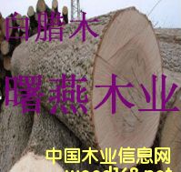 ������Ϟľԭľ