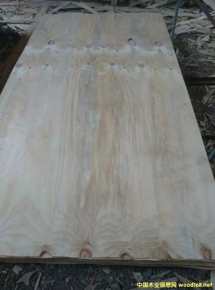 ݗ�����L�а�