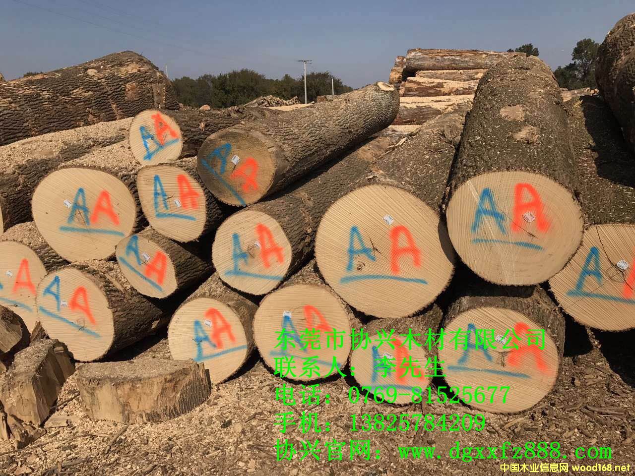 �W�ް�Ϟľԭľ