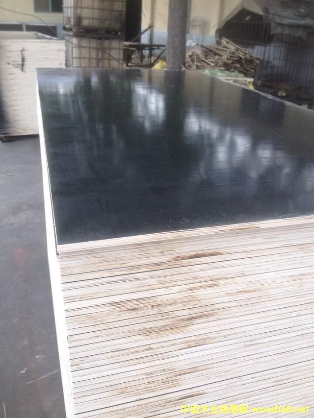 12���ɫ��ĸ��Ĥ���Ԕ����B