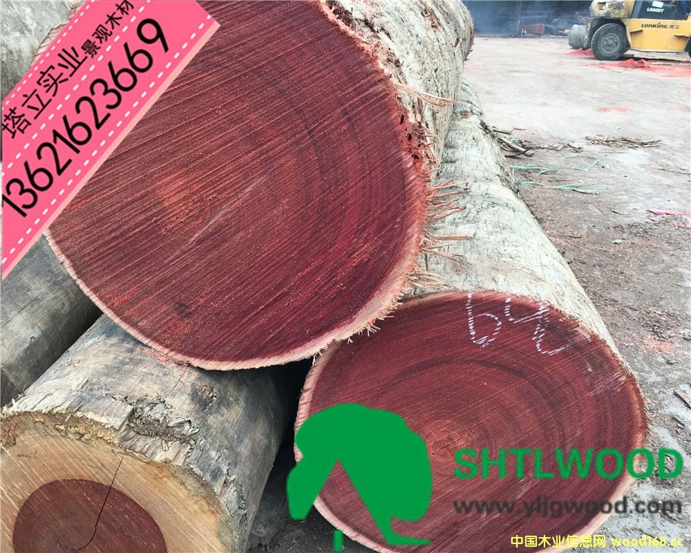 �c(di��n)���鿴�t��ľ���t�̈́ڶ����Ŵ�DƬ