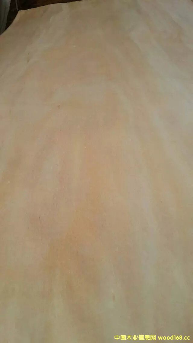 �һ�оľƤ��Ԕ����B