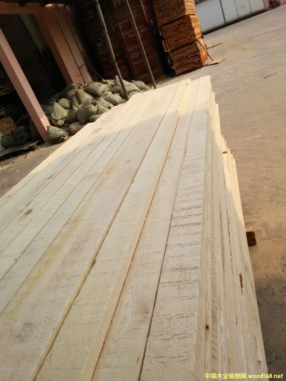 ��ľ�o����