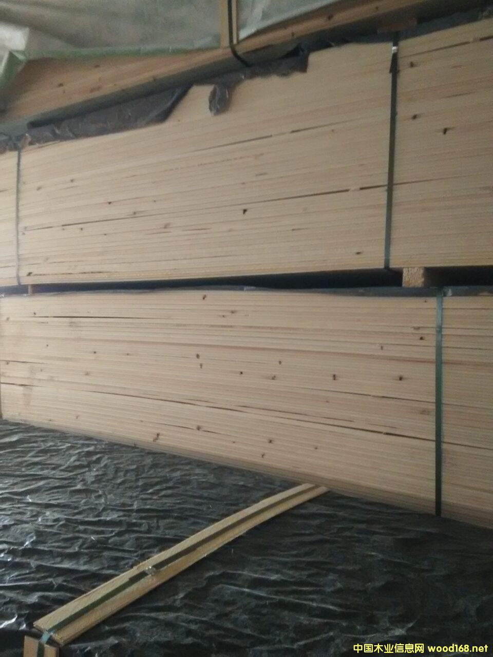 ��ľ����l