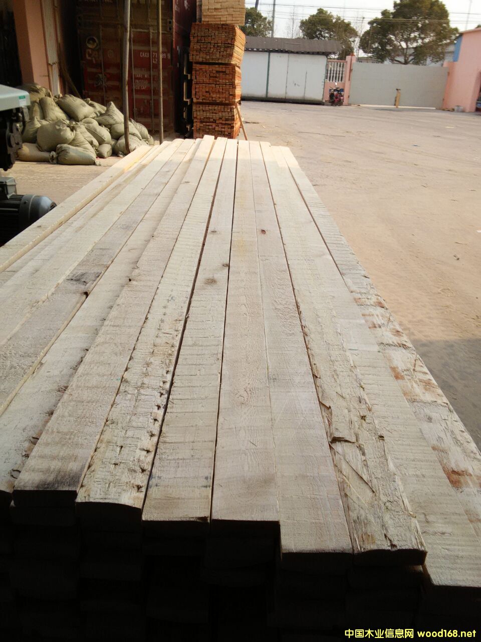 ��ľ�o����