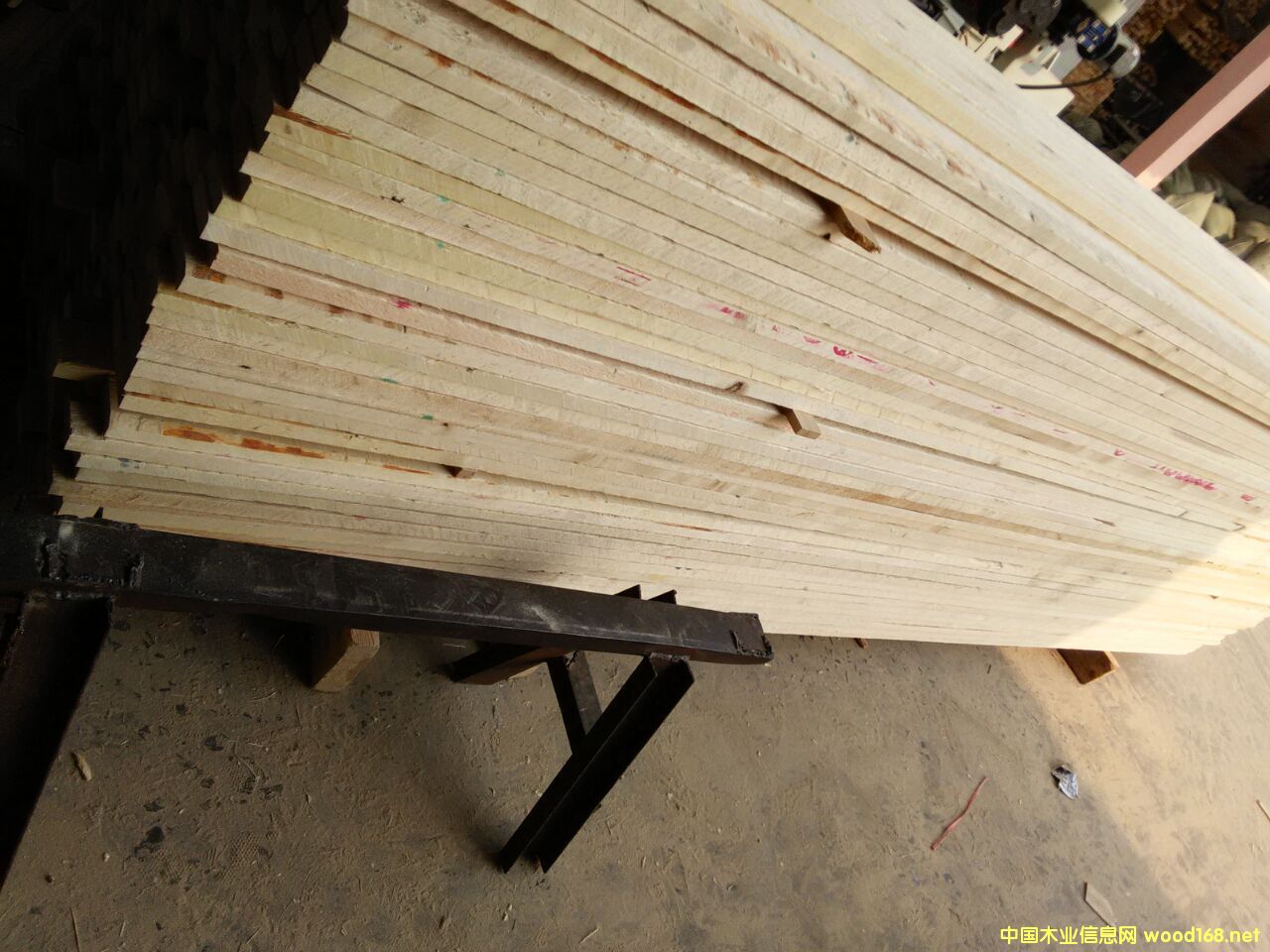 ��ľ�o����