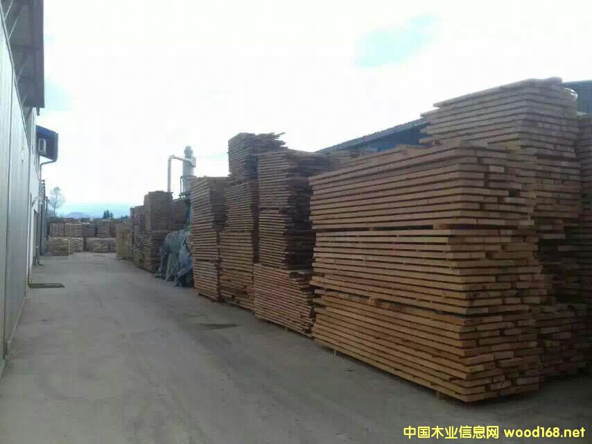 ��ľ�R߅�ĵ�Ԕ����B