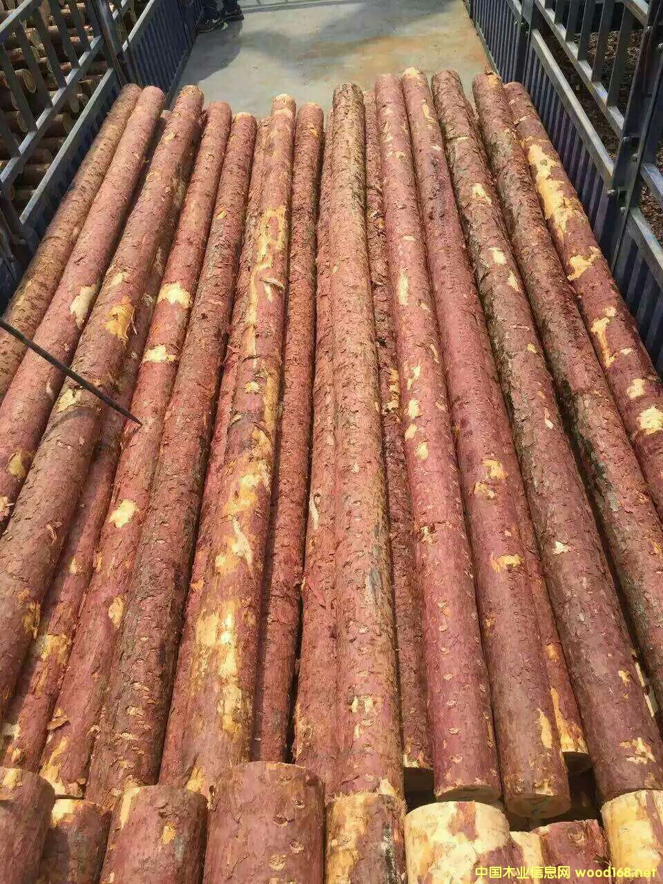 ���~��ԭľ����