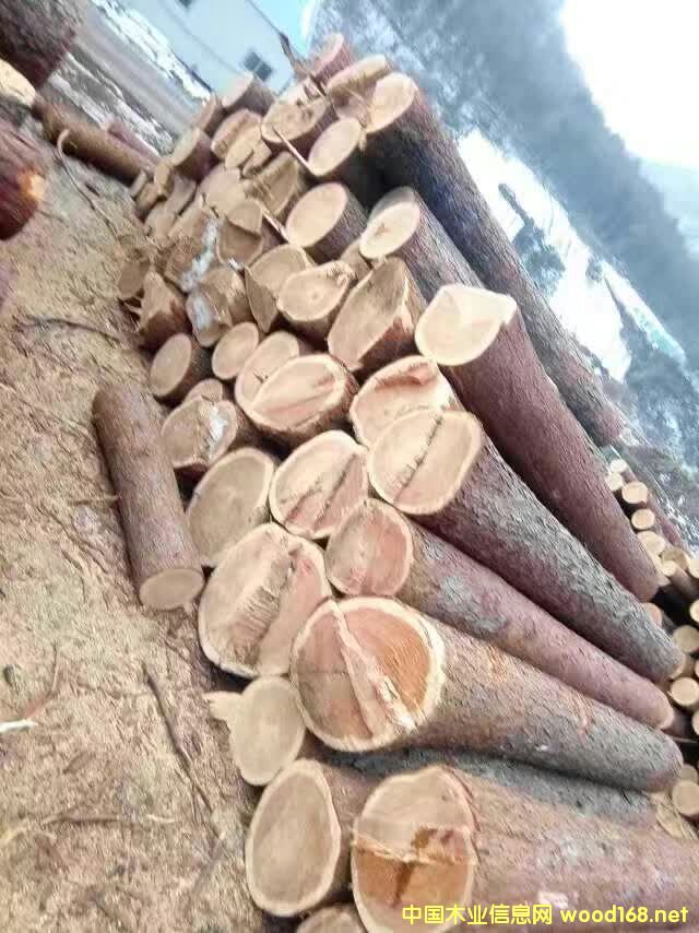 ���~��ԭľ���a(ch��n)