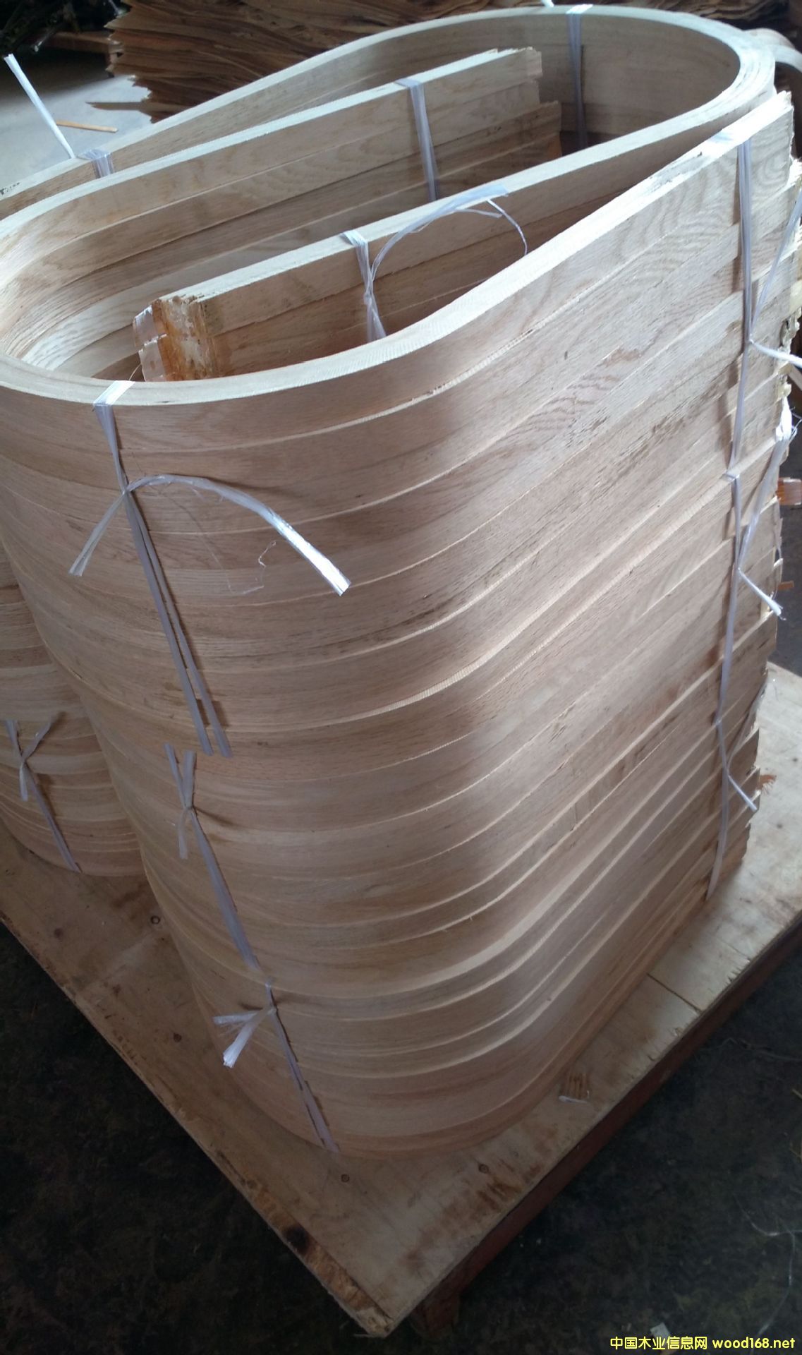 ����˹�ա����ΰ匣�íh����ȩ��֬��ȩ�z��������ȩ�������Ԅ�