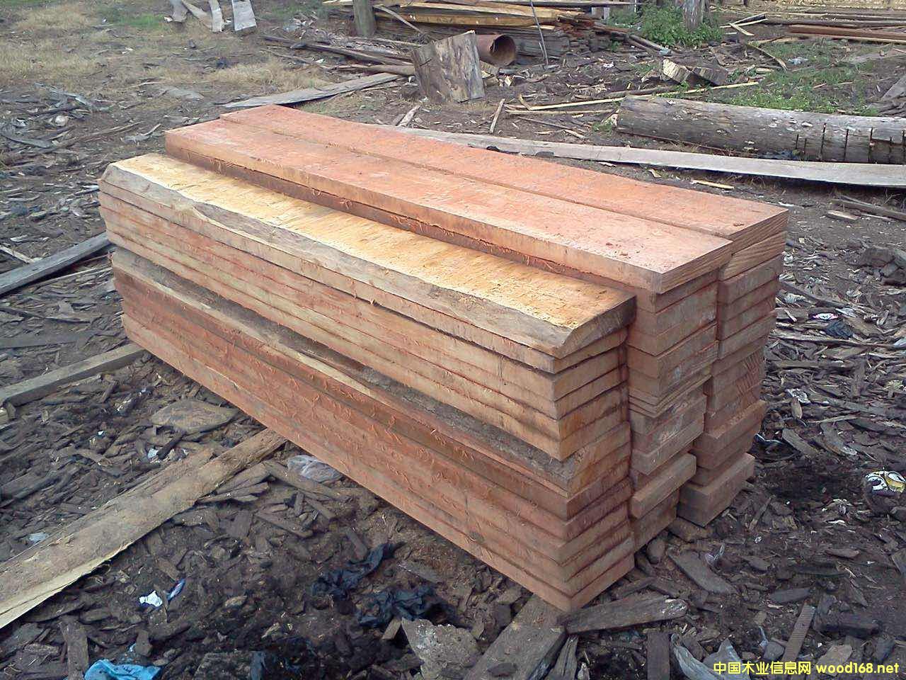 �����KľSenya