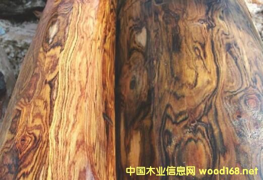 <����>����ľ����������ľ������̴��