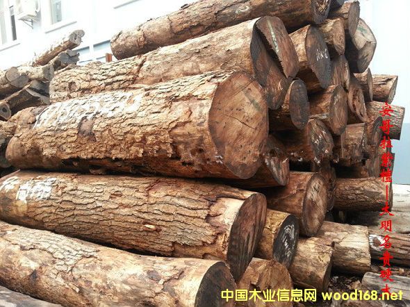 ľ�Ę�NԔ��--��������̴  �׷Q�����޻��桢���޼t