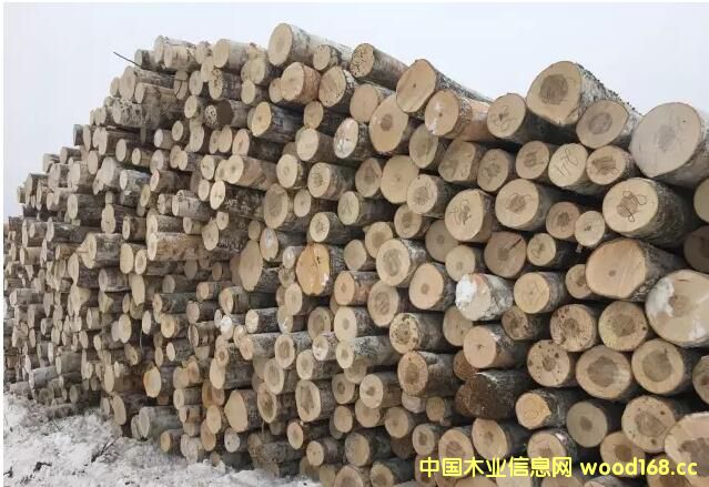 ���_˹��ľ��ֹ���ڣ��Ї���ľ�ӹ��ИI����ȥ�Ώģ�